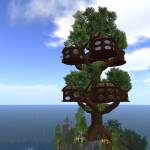 Tree House Tree House